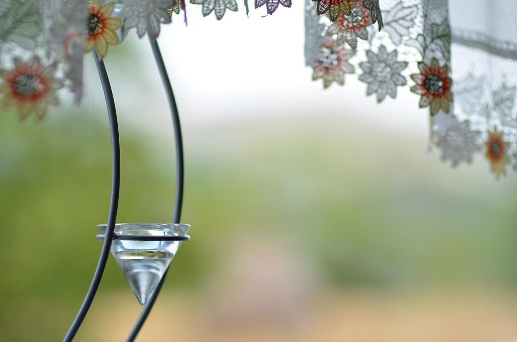 Pensiunea Poezii Alese Valea Drăganului Zimmer foto