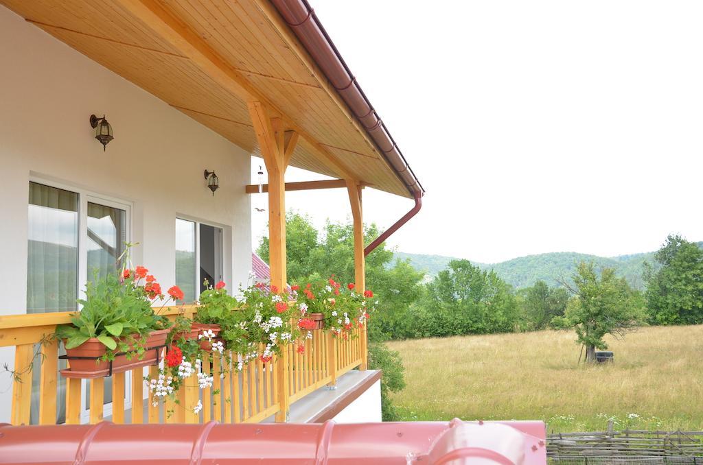 Pensiunea Poezii Alese Valea Drăganului Exterior foto