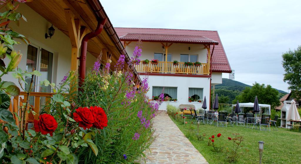 Pensiunea Poezii Alese Valea Drăganului Exterior foto