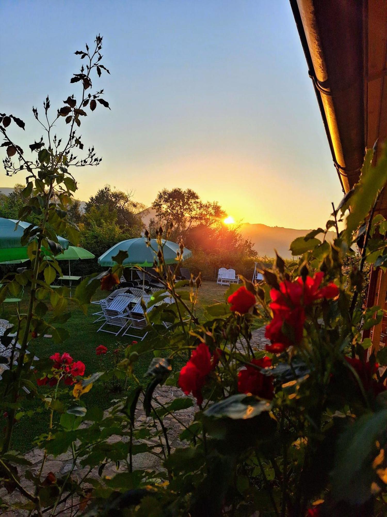 Pensiunea Poezii Alese Valea Drăganului Exterior foto
