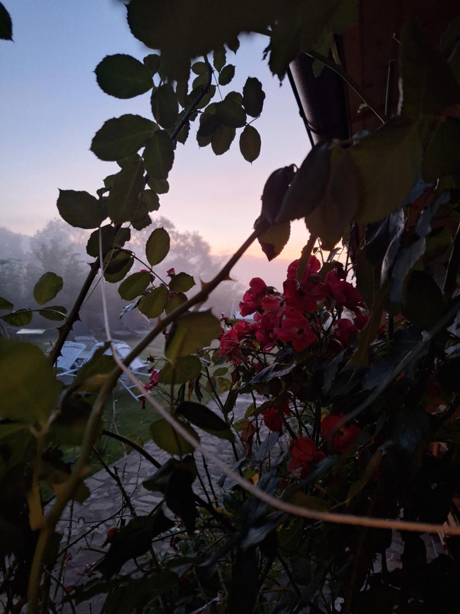 Pensiunea Poezii Alese Valea Drăganului Exterior foto