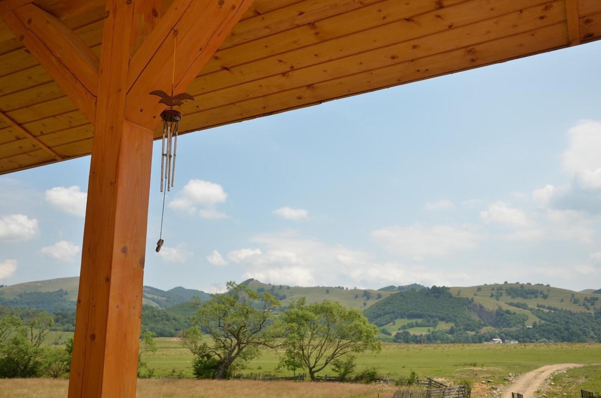 Pensiunea Poezii Alese Valea Drăganului Exterior foto