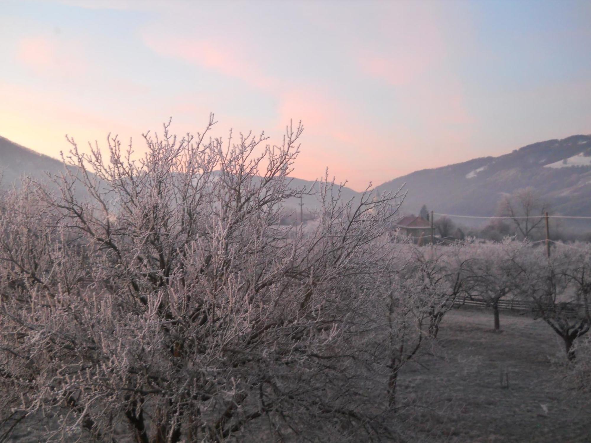 Pensiunea Poezii Alese Valea Drăganului Exterior foto