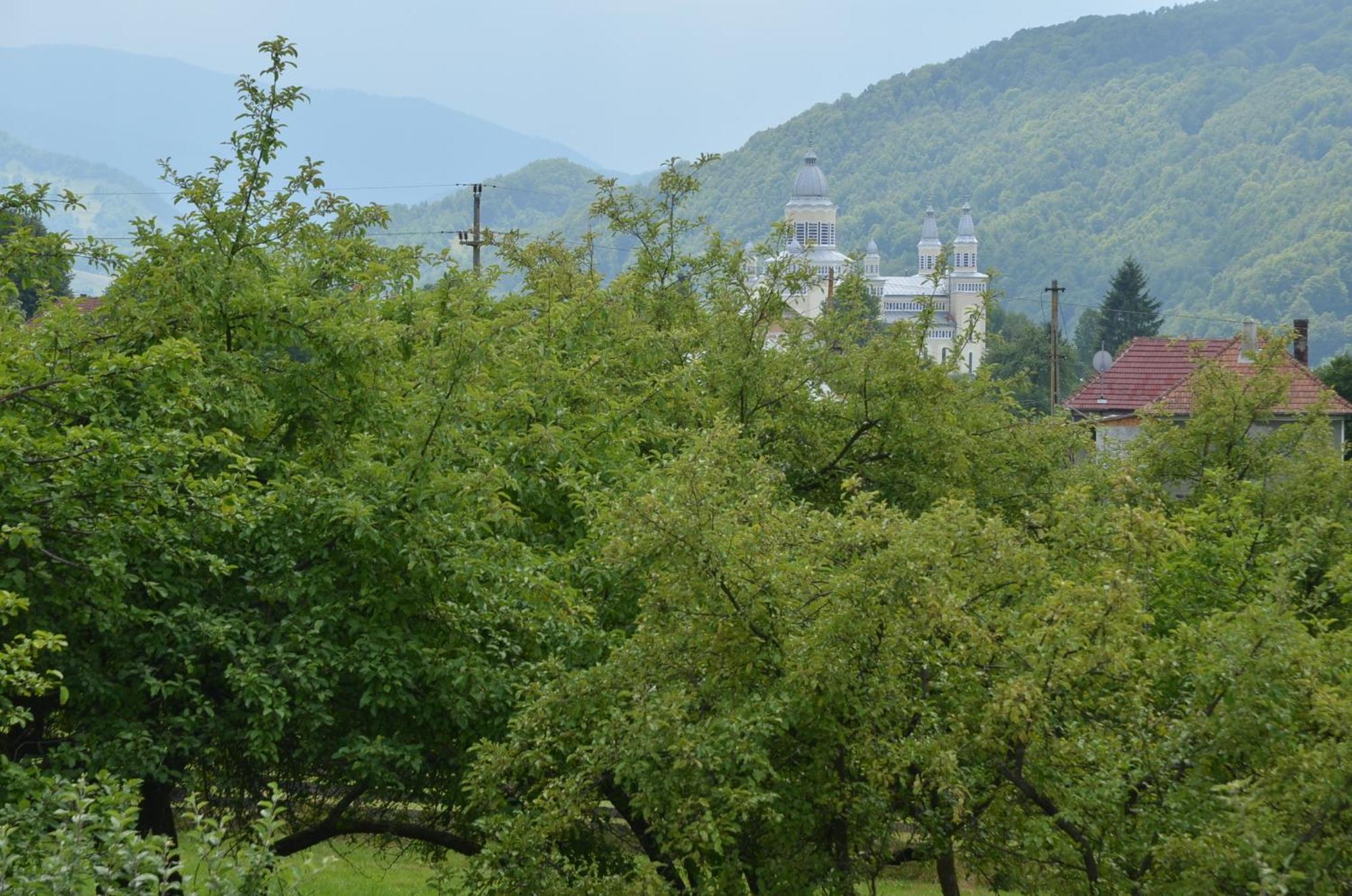 Pensiunea Poezii Alese Valea Drăganului Exterior foto