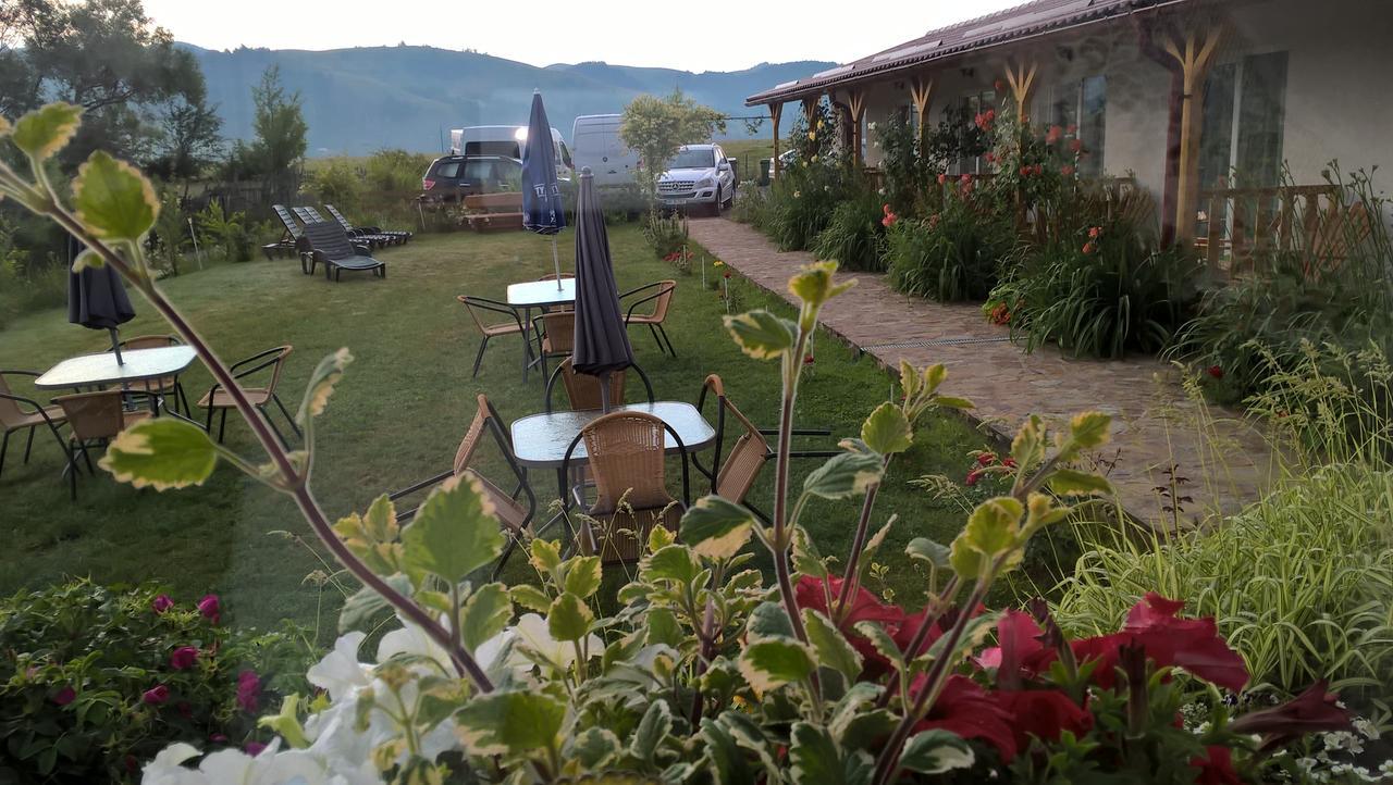 Pensiunea Poezii Alese Valea Drăganului Exterior foto