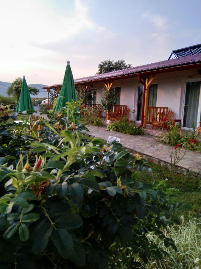 Pensiunea Poezii Alese Valea Drăganului Exterior foto