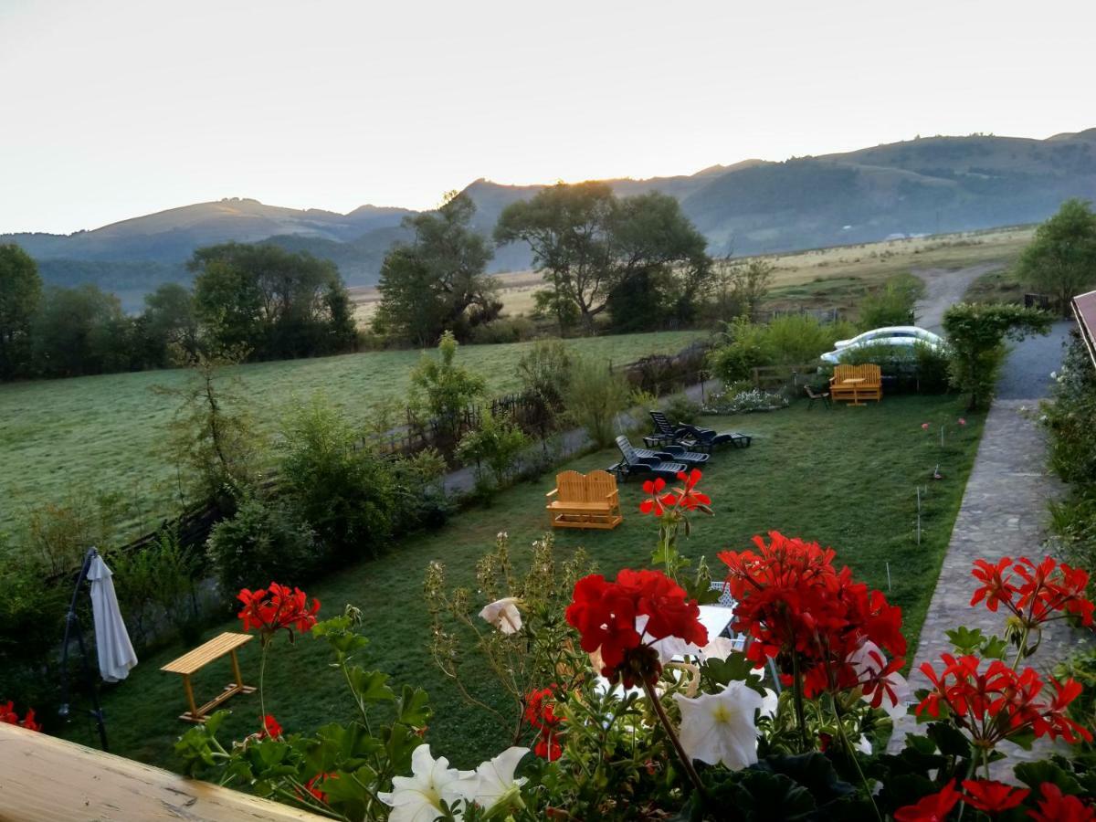 Pensiunea Poezii Alese Valea Drăganului Exterior foto